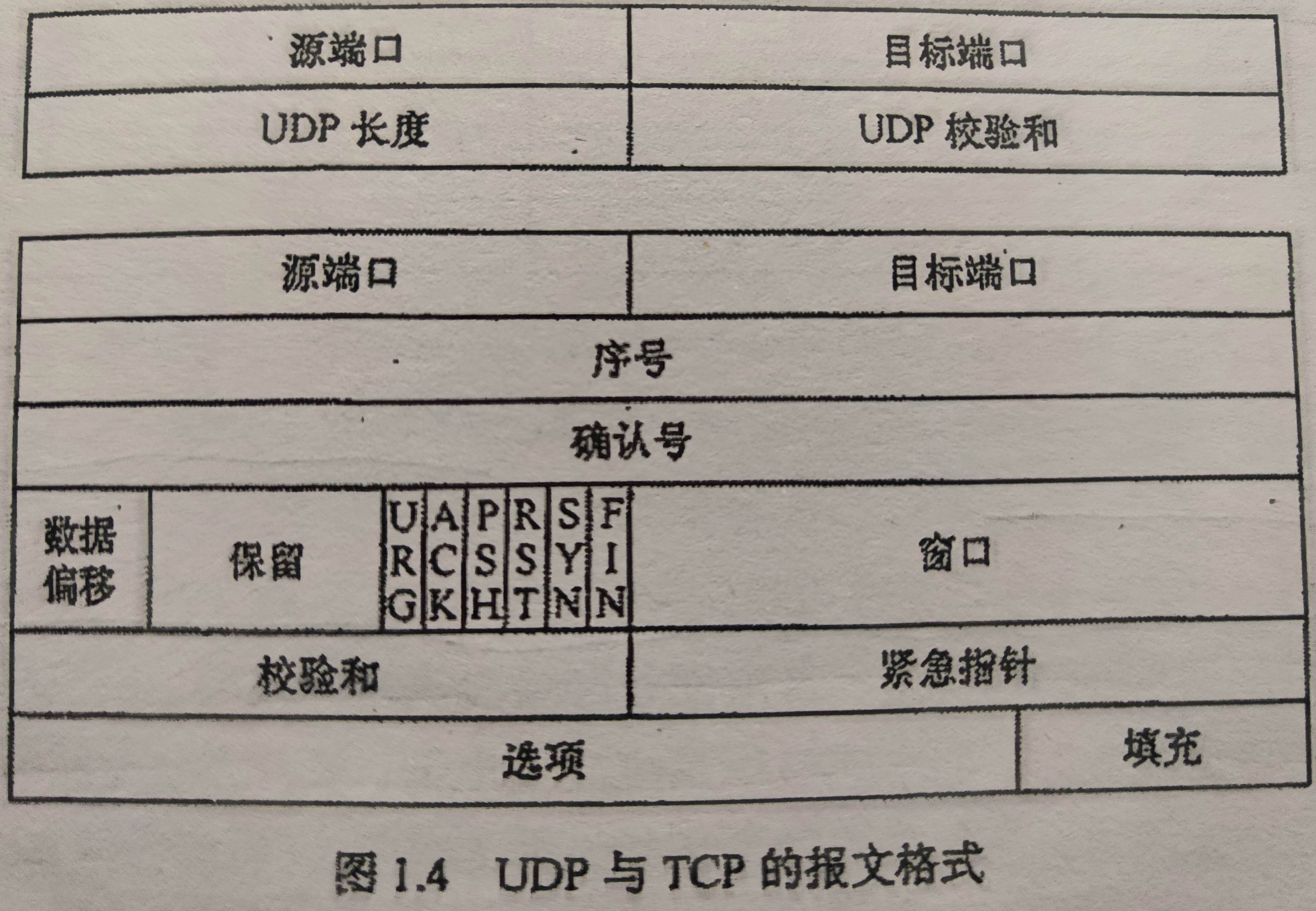 TCP、UDP报文格式
